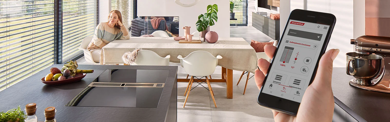 Steuerungssysteme-Header-neu